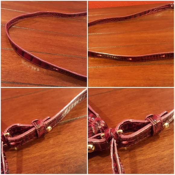 Brahmin Jody - Picture 5 of 8